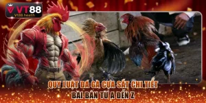 Đá gà cựa sắt