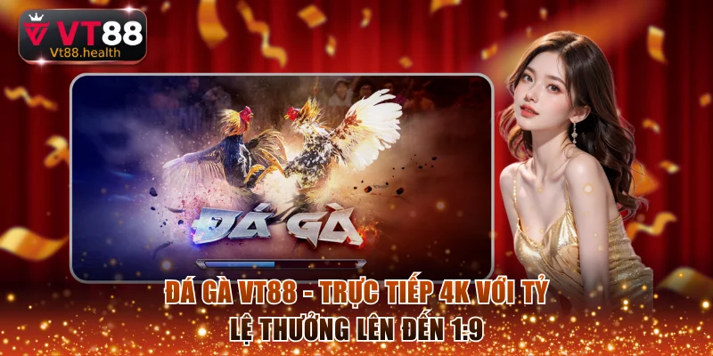 Đá Gà VT88 - Trực Tiếp 4K Với Tỷ Lệ Thưởng Lên Đến 1:9