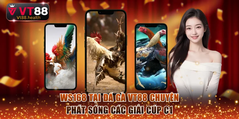 WS168 tại đá gà VT88 chuyên phát sóng các giải Cúp C1